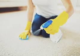homemade carpet cleaning solutions do