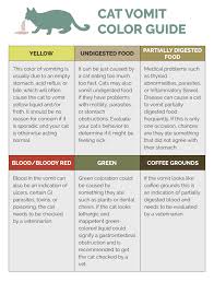 cat vomit colors meanings color