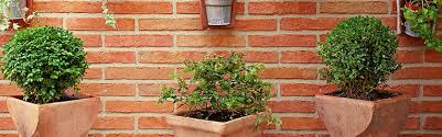 3 Brick Garden Wall Ideas Garden