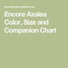 Encore Azalea Color Size And Companion Chart Barn House