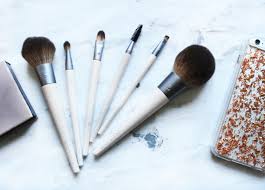 makeup application essentials ecotools