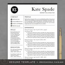 Basic Resume Template         Free Samples  Examples  Format     Fine Points Resume Template
