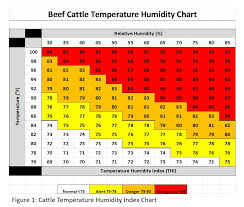 Heat Stress Handling Cattle Through High Heat Humidity