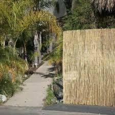 Bamboo Reed Fencing Rolled Backyard