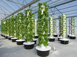 air stacky aeroponic tower garden