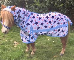 small pony star fly rugs