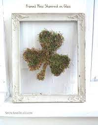 framed moss shamrock on floating glass