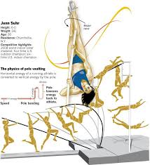 Graphic Olympics Track Field Los Angeles Times Pole