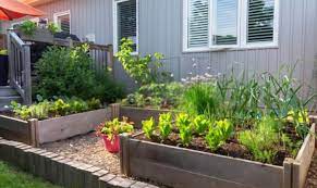 5 Est Way To Fill Raised Beds Not
