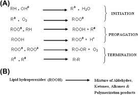 lipid peroxidation an overview