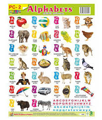 Wall Charts Plastic Non Tearable With Set Of 3 Charts Alphabets Numbers And Hindi Varnmala For Kids