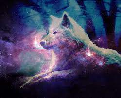 Cute Galaxy Wolf Wallpapers - Top Free ...