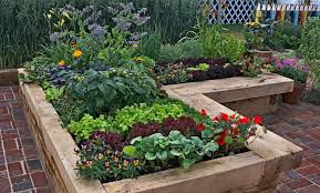 Raised Bed Soil The Ultimate Guide