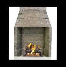 B Vent Indoor Fireplace Fireplaces By
