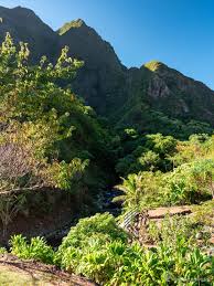 visit the iao valley maui s little