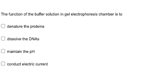 gel electropsis chamber