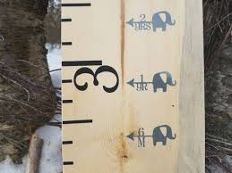Elephant Height Markers For Growth Charts Height Marking Arrows Growth Chart Decals Height Arrow Stickers Wooden Rulers Canada