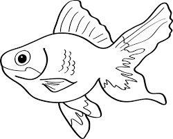 We are not talking about fishes on aquarium only but wider. Fish Drawing How To Draw A Fish Fish Coloring Pages