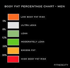 the most accurate body fat tests