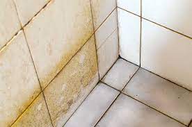 5 Grout Cleaning Tips From The