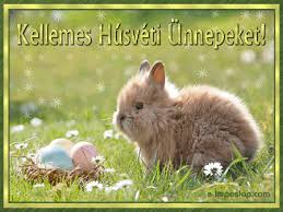 Húsvéti nyuszi tojásokkal, húsvéti képeslap - Képeslapok - e-kepeslap.com