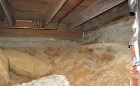 Mold And Dirt Floor Crawlspaces