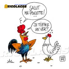 Rigolages on Twitter: "#rigolages #humour #dessin #poulette #coq #poule  #ver https://t.co/eG6jMVjLvF" / Twitter