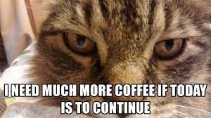 List of best coffee memes 2021. I Need Much More Coffee If Today Is To Continue Reality Check Cat Meme Generator