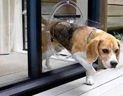 Expert Pet Door Installation In Perth