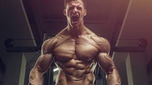 5 best hgh supplements of 2020 top