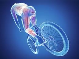 Die beine sind komplett ausgestreckt und erreichen die pedale dennoch nur mühsam. Dehnprogramm Ubungen Gegen Knieschmerzen Ubungen Gegen Knieschmerzen Beim Radfahren
