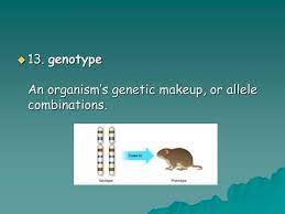 ppt chapter 3 genetics the science