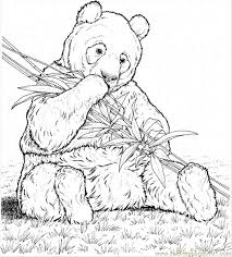 This bamboo coloring pages will helps kids to focus while developing creativity, motor skills and color recognition. Bamboo 2 Coloring Page For Kids Free Trees Printable Coloring Pages Online For Kids Coloringpages101 Com Coloring Pages For Kids