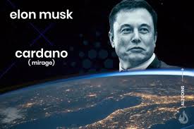 I am a supporter of bitcoin, he. Elon Musk S Influence In Crypto Is Musk Endorsing Cardano Ada By Dailycoin