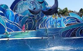Sea world san diego ticket options. Seaworld San Diego Discount Tickets And Coupons