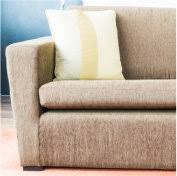 remove mold on furniture upholstery