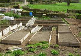 raised bed home grown edible landscapes