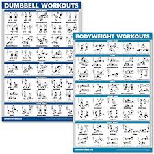quickfit dumbbell workouts and