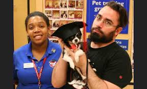 Which class should i start with? Do Petsmart Puppy Training Classes Use Certified Trainers Quora