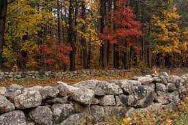 New England Stone Walls Images Browse