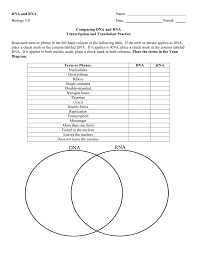The nature of transcription and translation worksheet answer key biology in studying. Dna And Rna Comparison