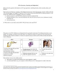 Genes worksheet answers, dna structure and replication answer key pogil and dna. Dna Structure Function And Replication 1