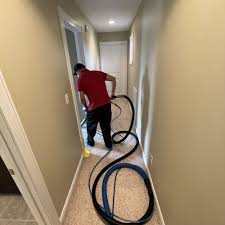 carpet cleaning in mecosta county