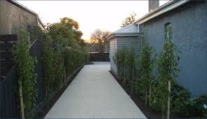 Concrete With Narrow Garden Bed