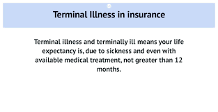 terminal illness definition what you