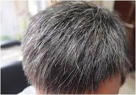 This video will help you understand the science behind greying.hope you'll enjoy. Will Smoking Grow White Hair Fact The Premature Growth Of White Hair Is Related To 5 Things Daydaynews