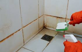 best ways to clean bathroom tiles and grout