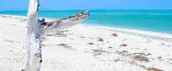 Cayo Costa State Park Florida State Parks