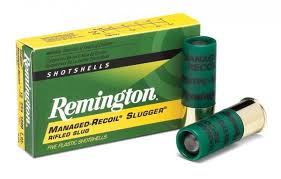 Slugs Remington
