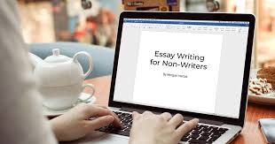 essay writing for non writers lmd agency